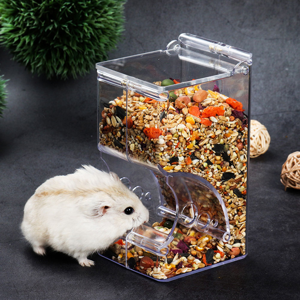 Automatic Pet Feeder - ﻿ 2-1PCS Cute Hamster Samll Animal