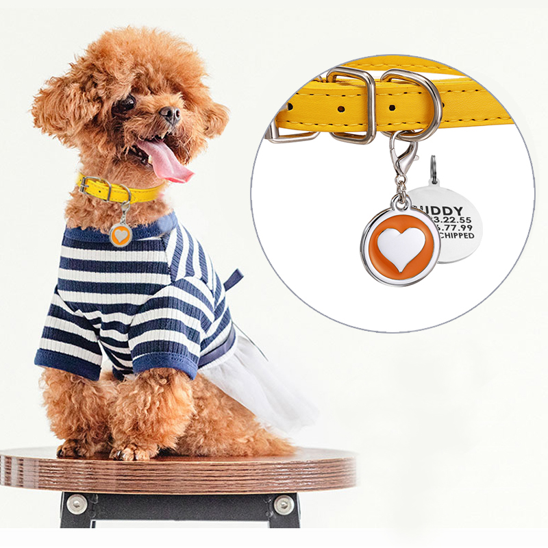 Pet Supplies Login - Pet Cat Dog Leather Collar Stainless