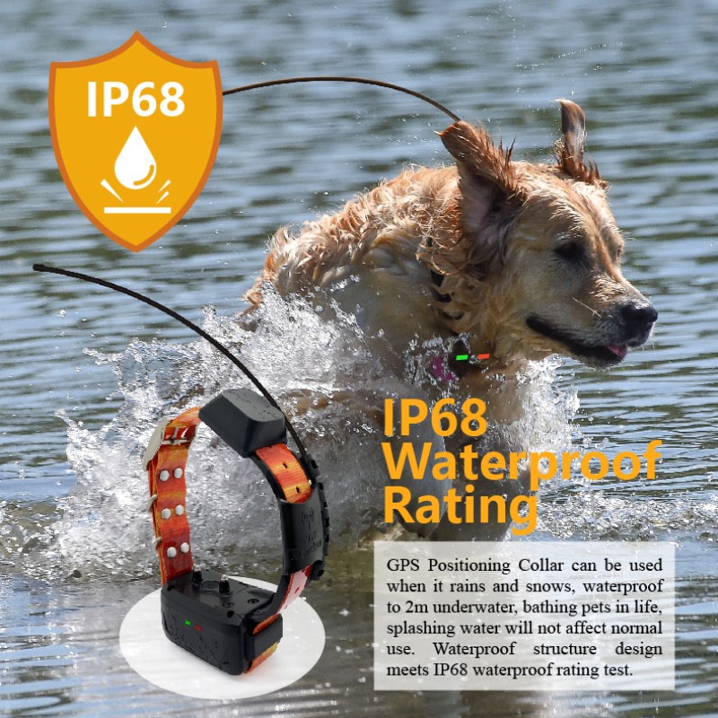 Pet Supplies Login - Enterprise Dog GPS Fence Manager: Custom