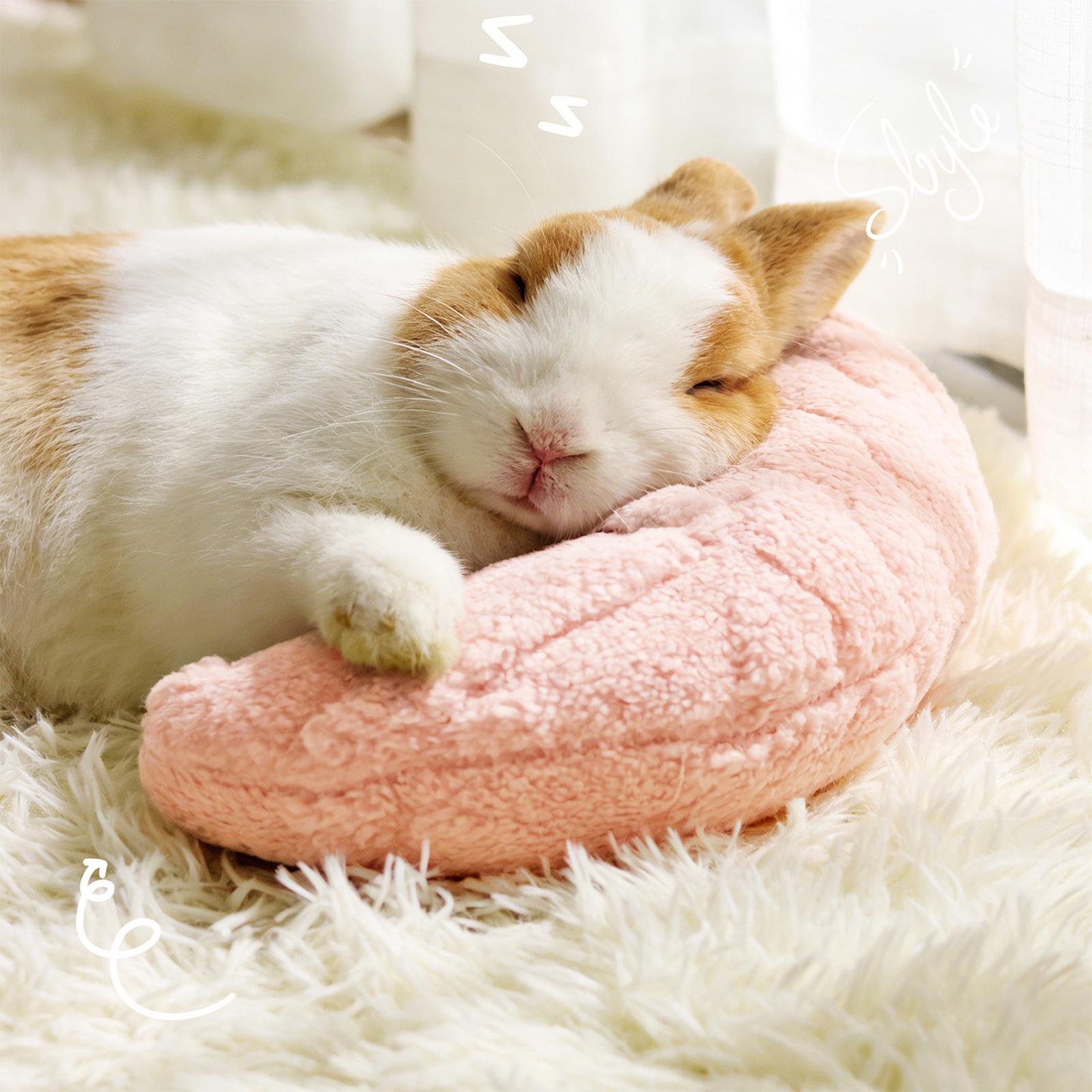 Pet Supplies App - Pet Little Pillow Fashion Neck Protector