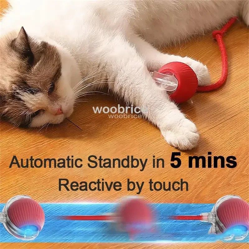 HOT Smart Cat Toys Automatic R - Pet Supplies First 评论和价格