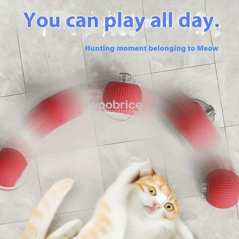 HOT Smart Cat Toys Automatic R - Pet Supplies First 评论和价格