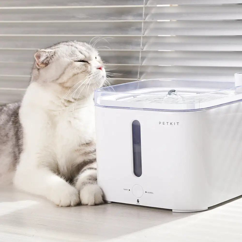 CANBOUN EVERSWEET Series Pet S - Automatic Pet Feeder 评论和价格