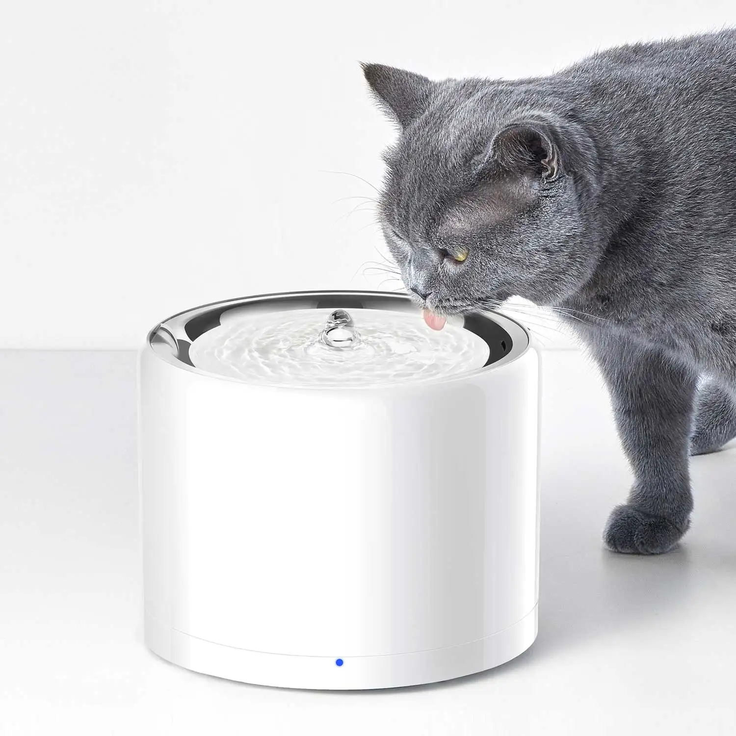 CANBOUN EVERSWEET Series Pet S - Automatic Pet Feeder 评论和价格