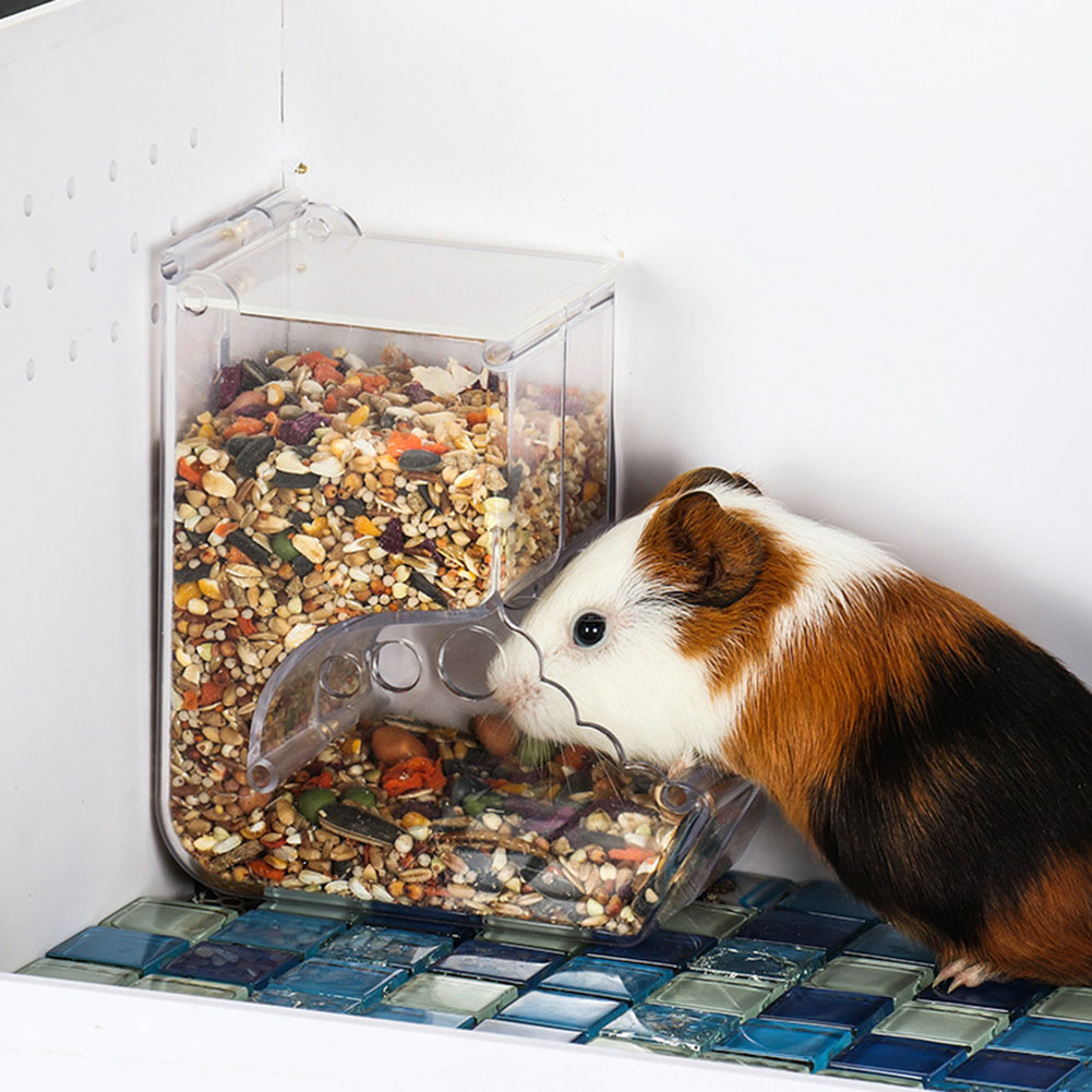  2-1PCS Cute Hamster Samll An - Automatic Pet Feeder 评论和价格