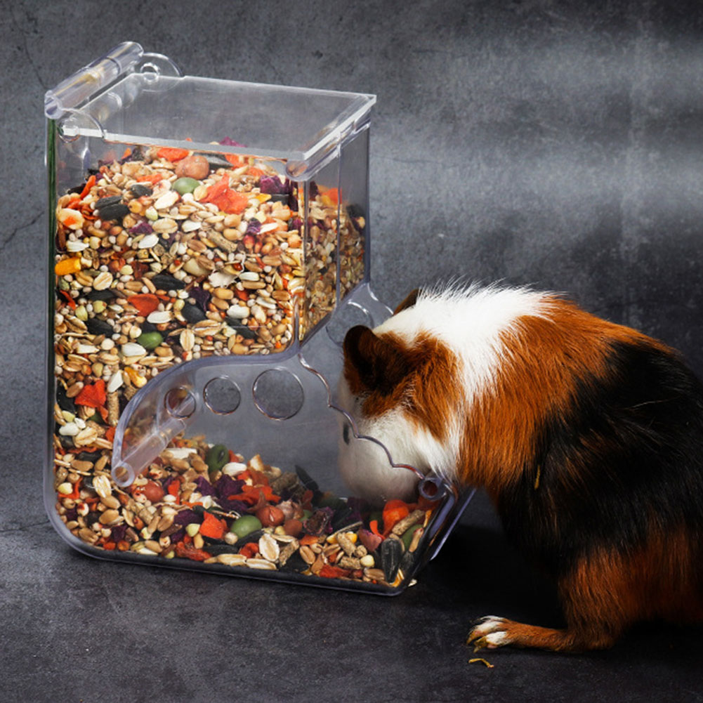  2-1PCS Cute Hamster Samll An - Automatic Pet Feeder 评论和价格