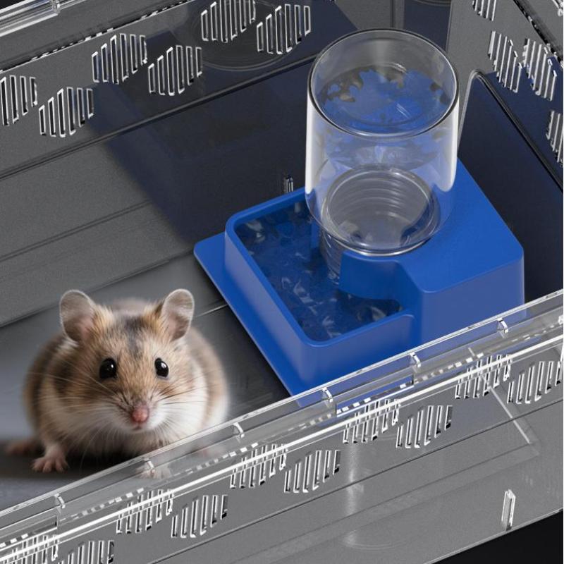 (BF06)Reptile Water Bottle Aut - Automatic Pet Feeder 评论和价格