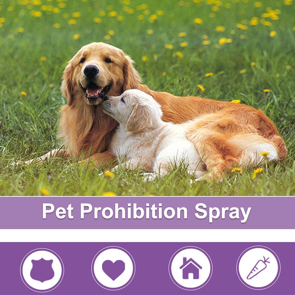 Pet Calming Spray Pet Supplies - Pet Supplies App 评论和价格