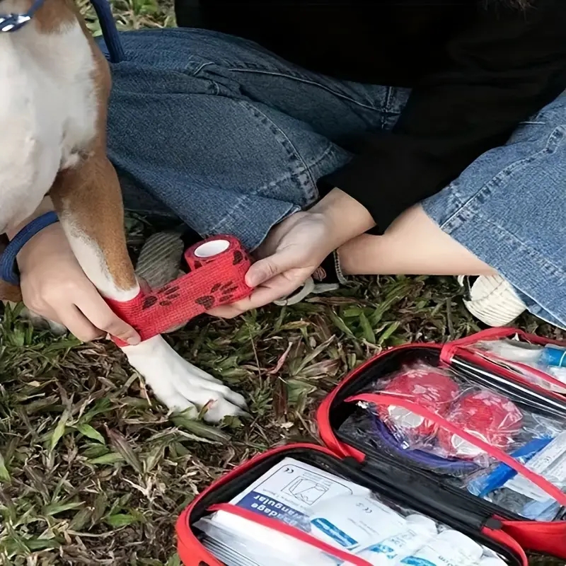 Compact pet First Aid kit for  - Pet Supplies First 评论和价格