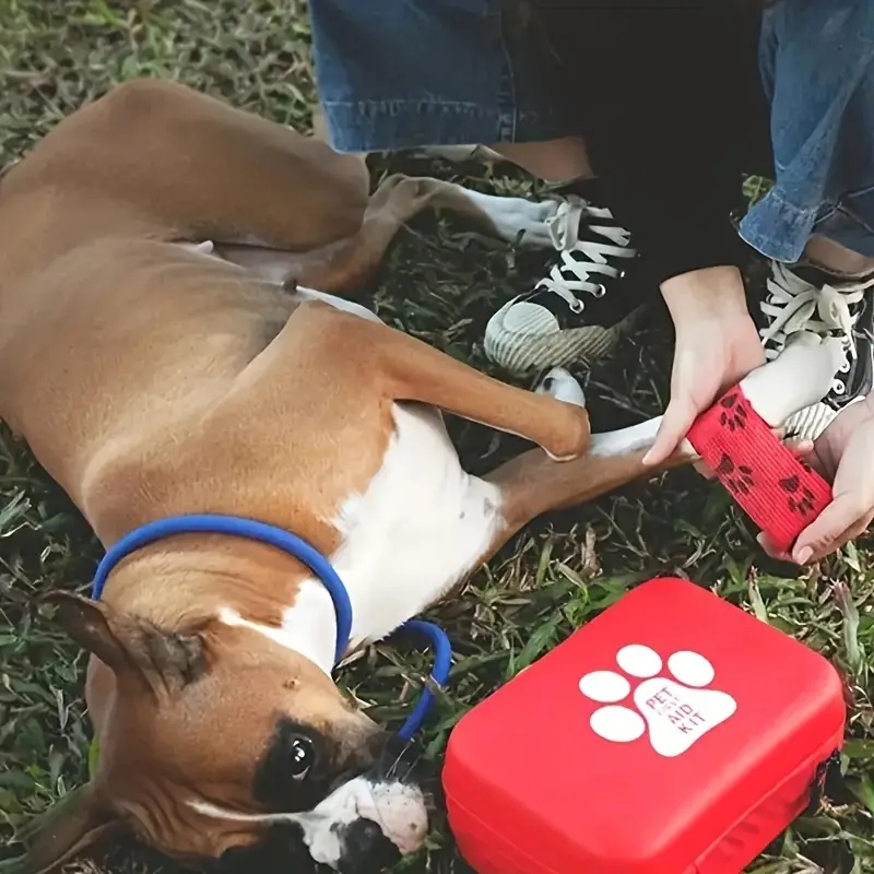 Compact pet First Aid kit for  - Pet Supplies First 评论和价格