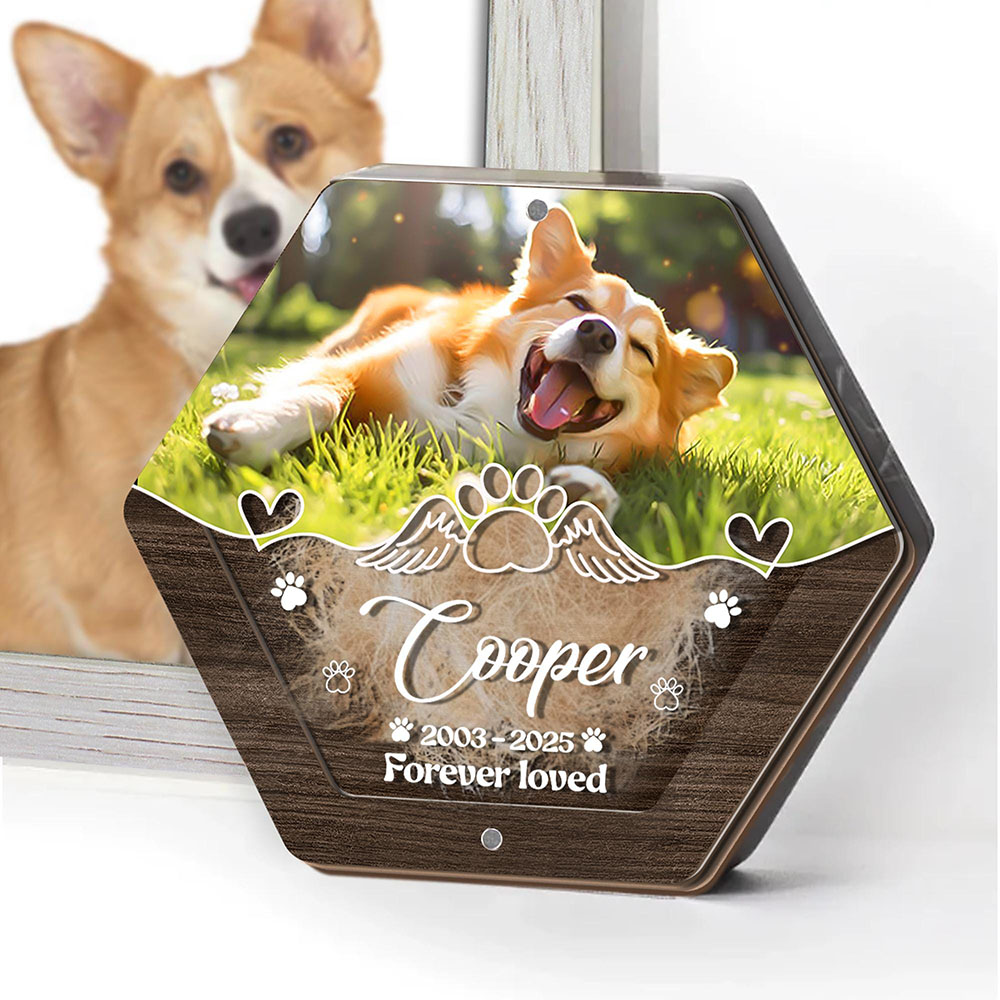 Personalized Name Wooden Carvi - Pet Supplies App 评论和价格