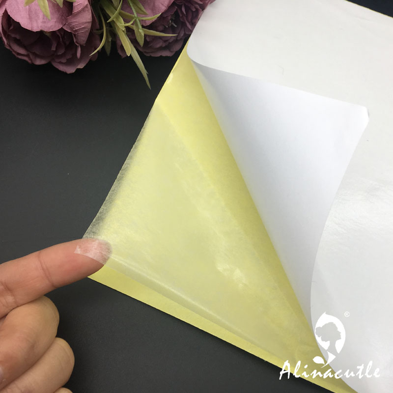 10PC X A4 Double Sided Tape St - Pet X Supplies & Tack Howell Mi 评论和价格