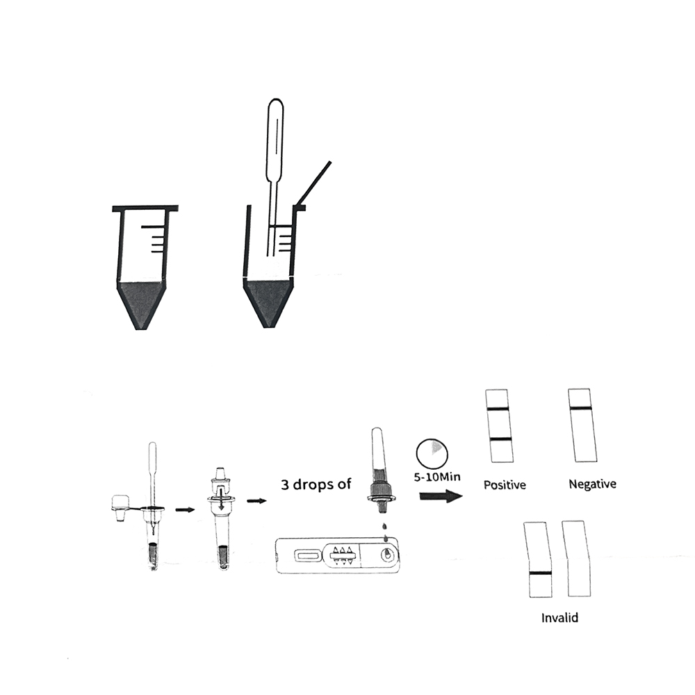 1set/5set Professional Pet Dog - Pet Supplies App 评论和价格