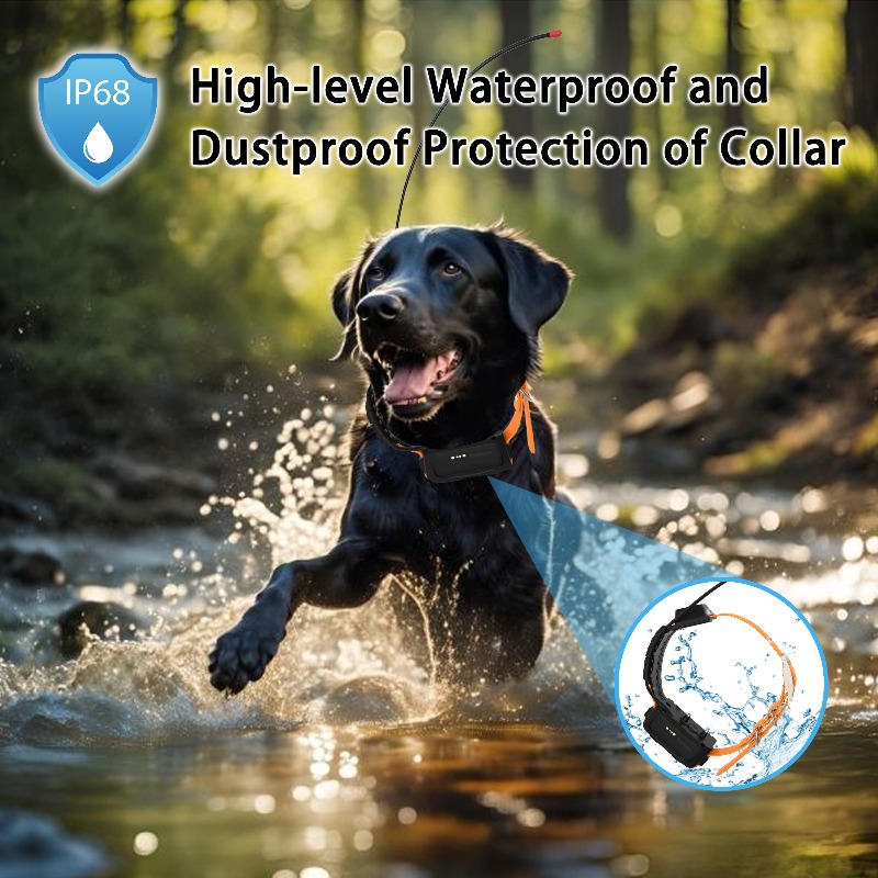 2026 Canine Health GPS Tracker - Pet Supplies Login 评论和价格