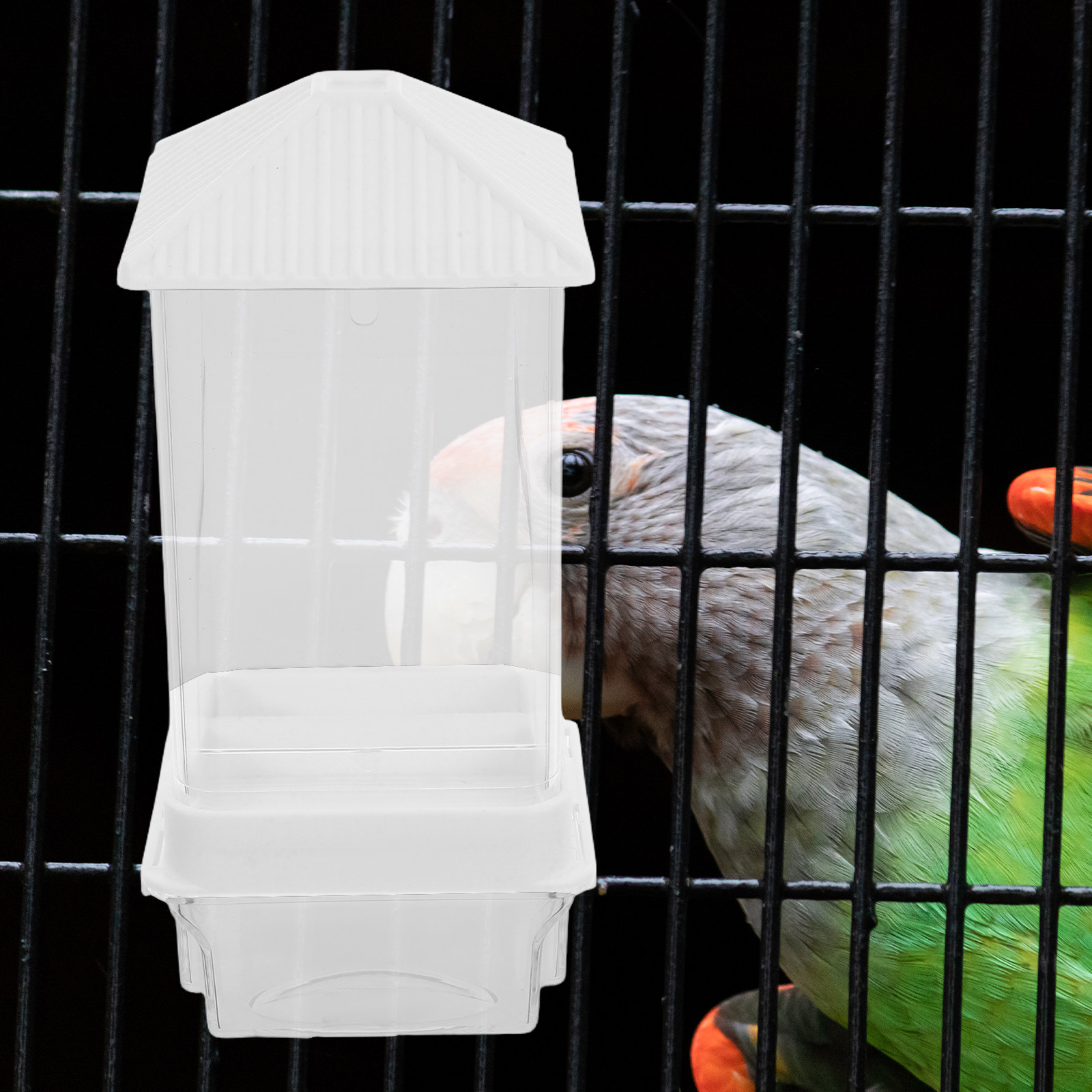 Automatic Bird Feeder No-Spill - Automatic Pet Feeder 评论和价格