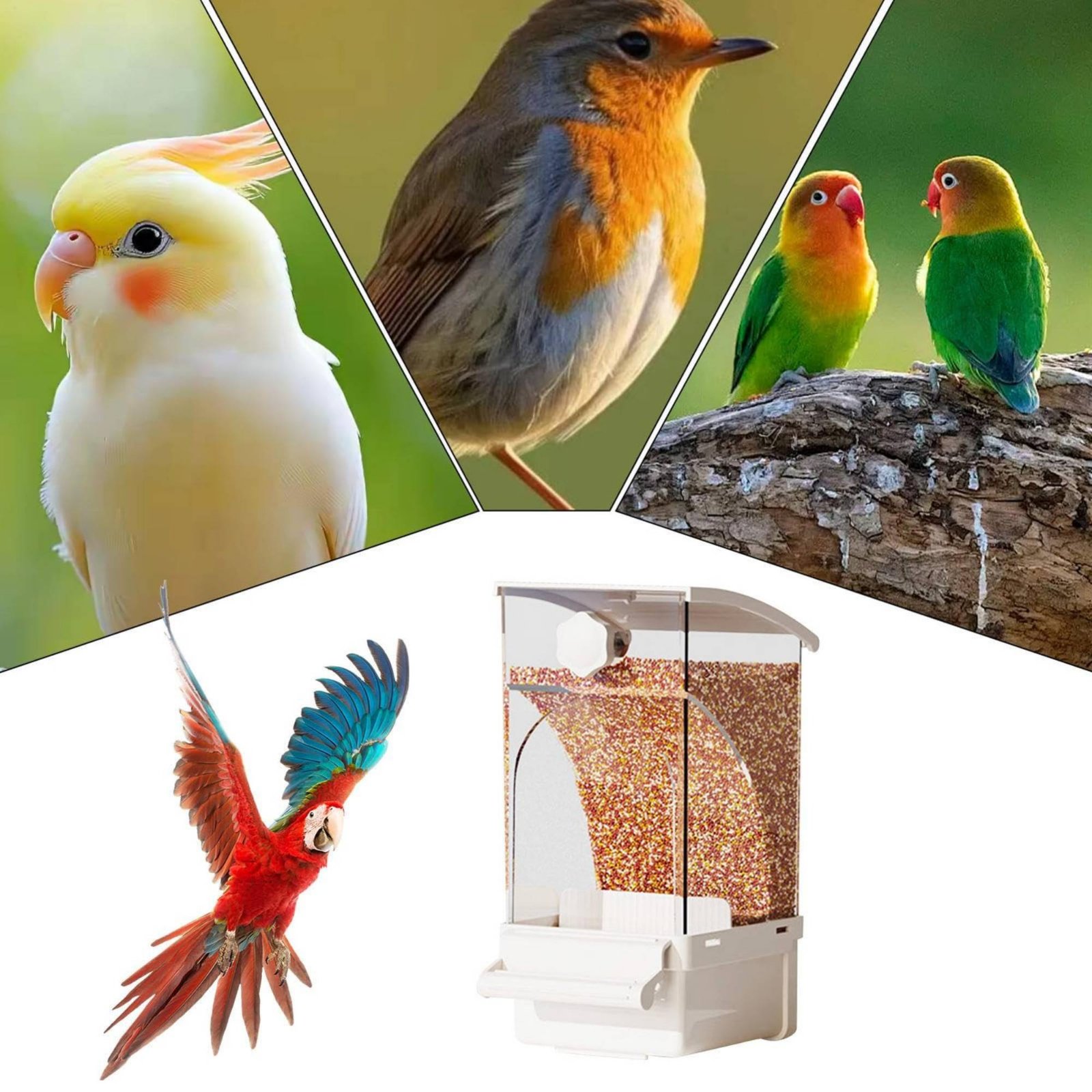 Automatic Avian Feeder Husk Se - Automatic Pet Feeder 评论和价格