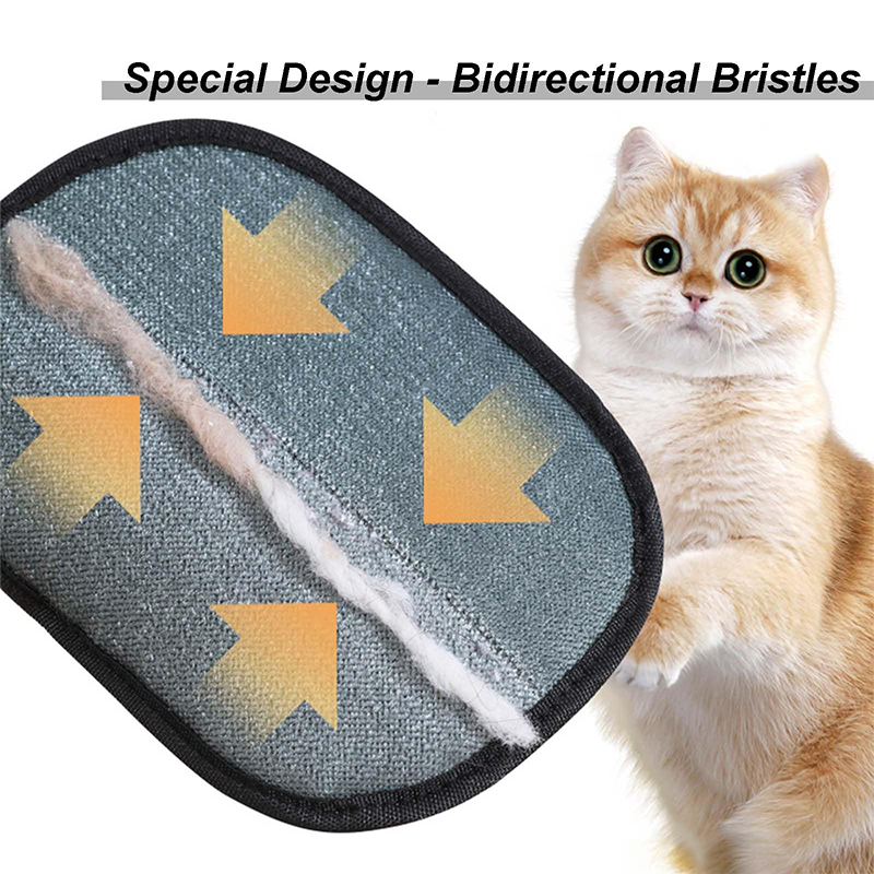 New Electrostatic Pet Grooming - Pet Supplies App 评论和价格