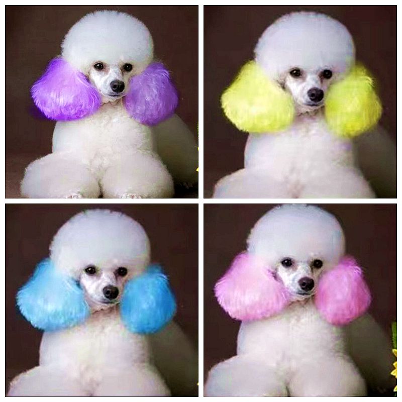 Pet Dye Cream  80g Semi Perman - Pet Supplies App 评论和价格