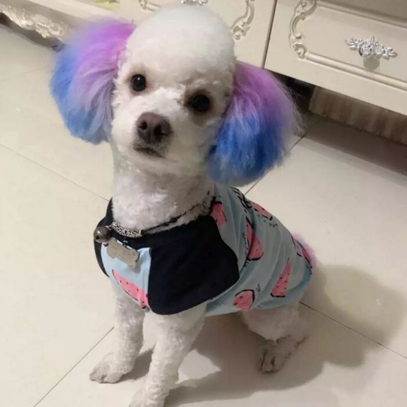Pet Dye Cream  80g Semi Perman - Pet Supplies App 评论和价格