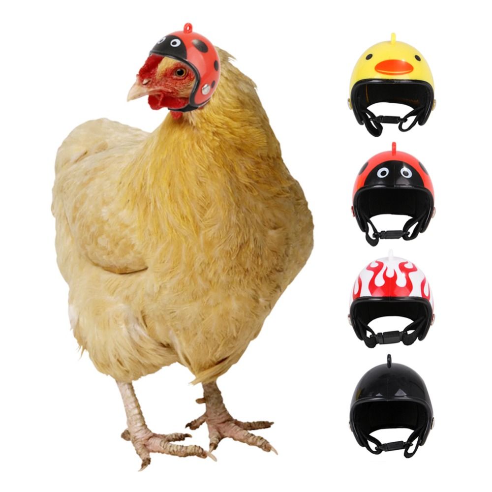 ABS Pet Supplies Funny Pet Pro - Pet X Supplies & Tack Howell Mi 评论和价格
