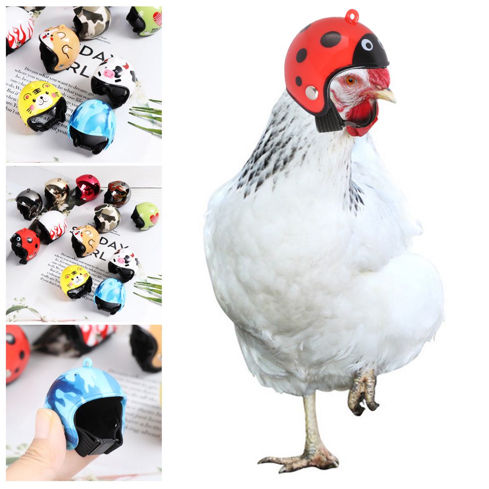 ABS Funny Pet Supplies Pet Pro - Pet X Supplies & Tack Howell Mi 评论和价格