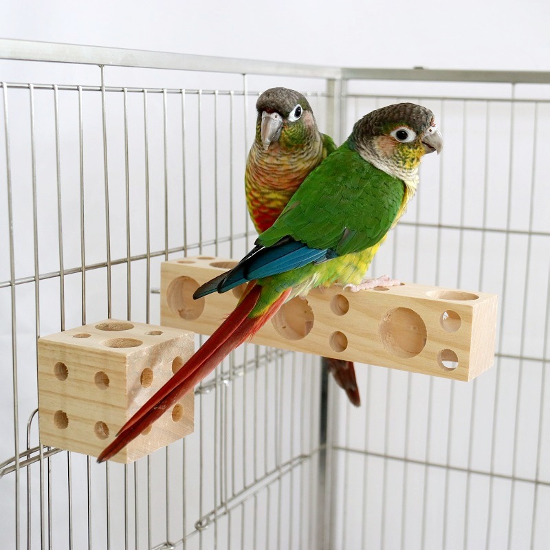 Parrot Bites Wood Pet Bird Mou - Pet Supplies Login 评论和价格